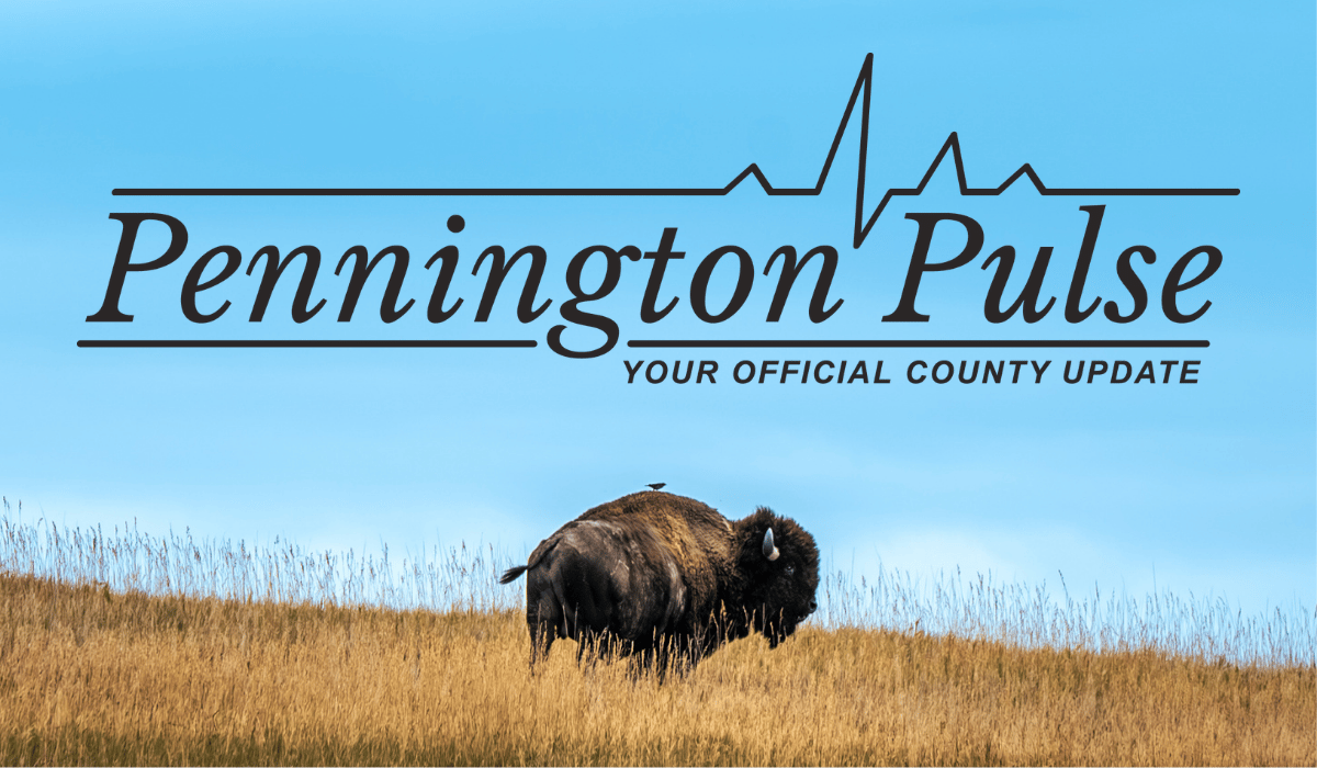 Buffalo standing in a field with a small bird sitting on it's back. The Pennington County Logo is shown above the animals.